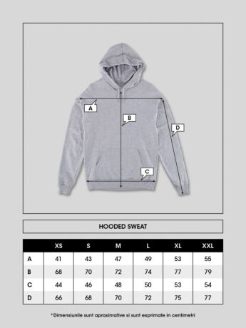 "Conspiracy" Hooded Sweat