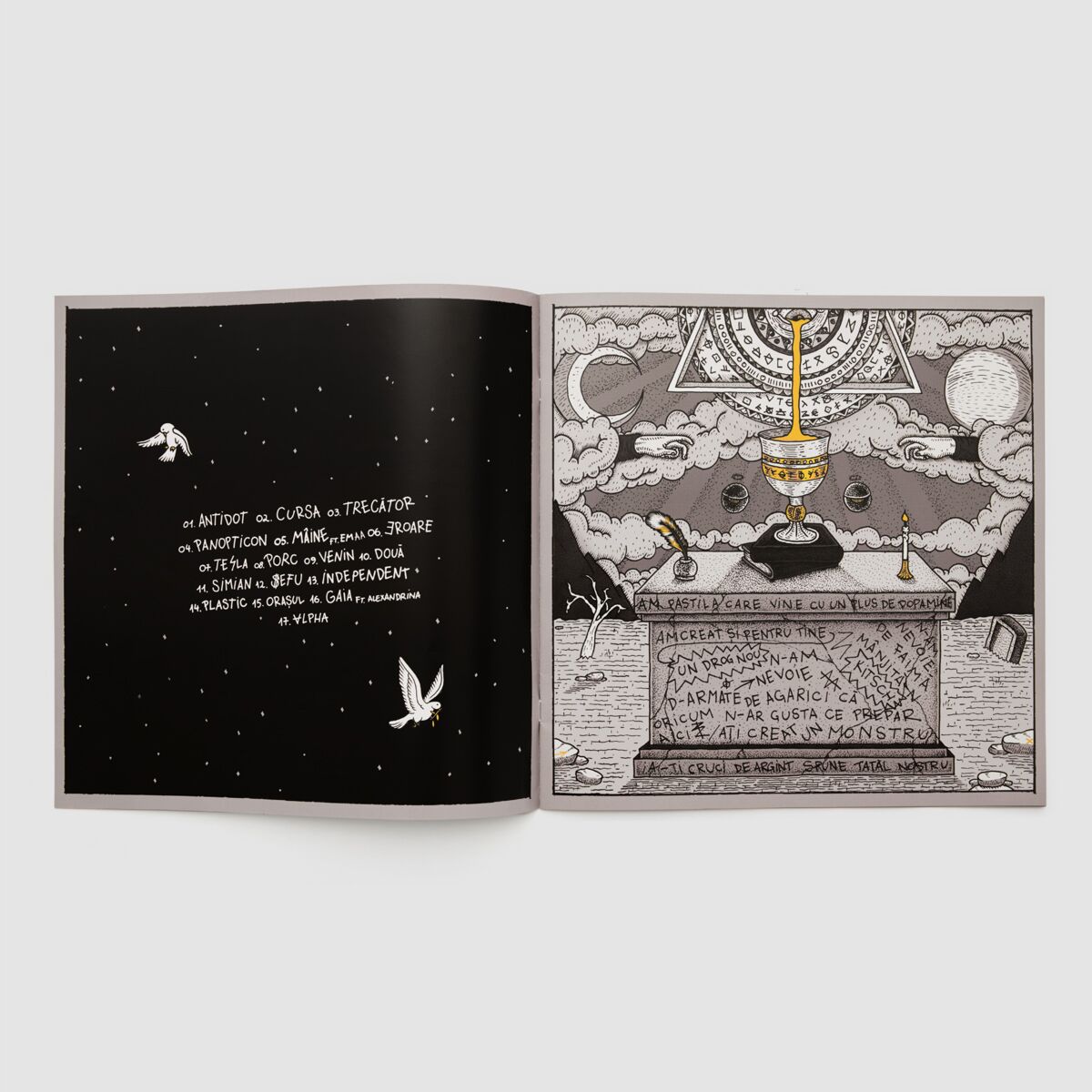 DXSS Vinyl Pack (2XLP + BOOKLET)