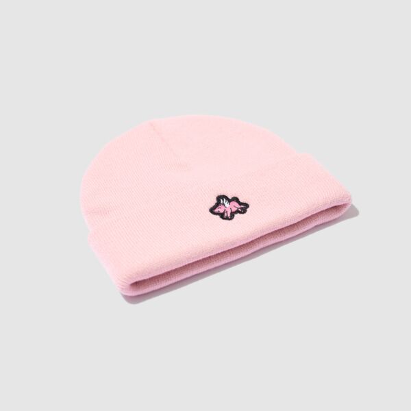 "Flying Pig" Small Pink Beanie