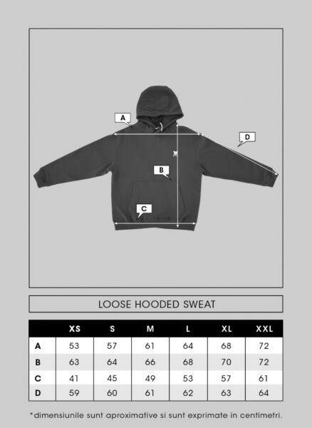 "Capital" Hooded Sweat