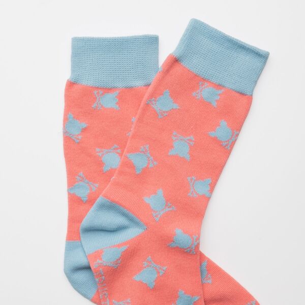 "Flag" Pudra/Grey Socks
