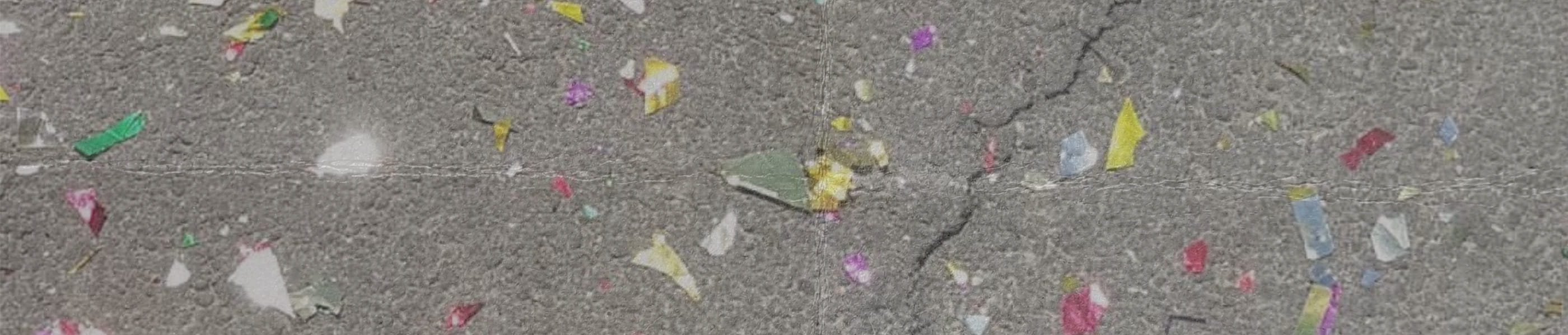 BULETIN DE PORC — 14 Ani — PORC face 14 ani. Îi facem buletin.